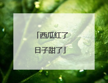 西瓜红了 日子甜了