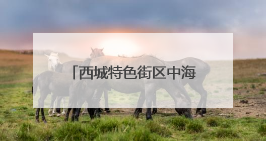 西城特色街区中海大吉巷正式开业，打卡市民真不少