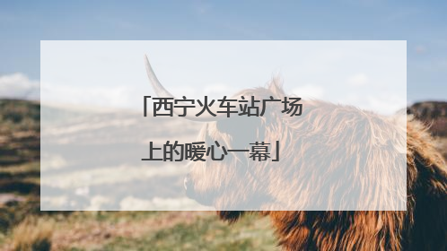 西宁火车站广场上的暖心一幕