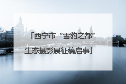 西宁市“雪豹之都”生态摄影展征稿启事
