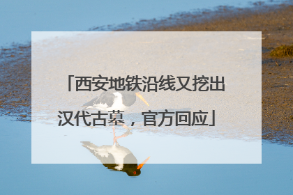 西安地铁沿线又挖出汉代古墓，官方回应