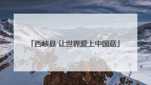 西峡县 让世界爱上中国菇