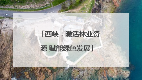 西峡：激活林业资源 赋能绿色发展