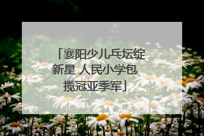 襄阳少儿乓坛绽新星 人民小学包揽冠亚季军