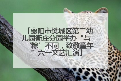 襄阳市樊城区第二幼儿园衡庄分园举办“与‘粽’不同，致敬童年”六一文艺汇演