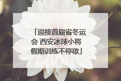 迎接首届省冬运会 西安冰球小将假期训练不停歇