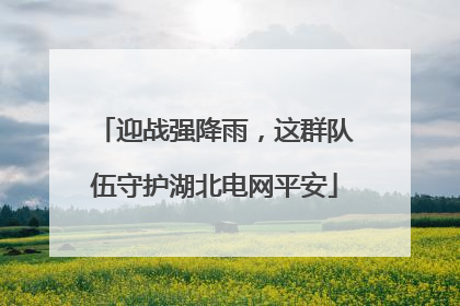 迎战强降雨，这群队伍守护湖北电网平安