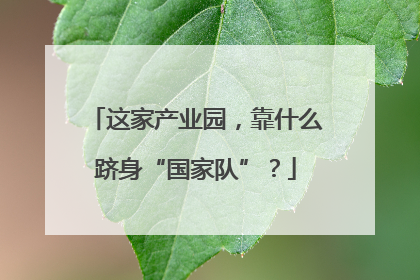 这家产业园，靠什么跻身“国家队”？