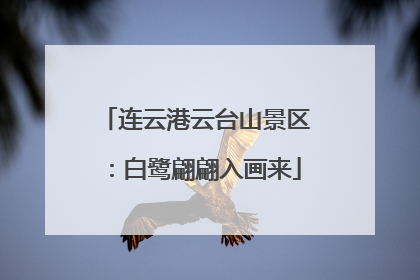 连云港云台山景区：白鹭翩翩入画来
