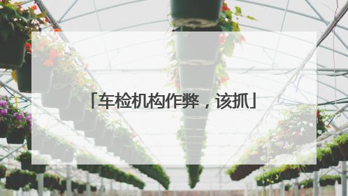 车检机构作弊，该抓