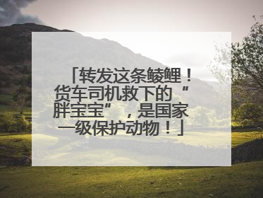转发这条鲮鲤！货车司机救下的“胖宝宝”，是国家一级保护动物！
