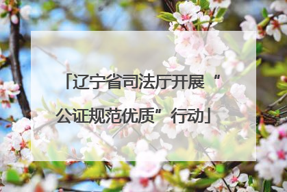 辽宁省司法厅开展“公证规范优质”行动