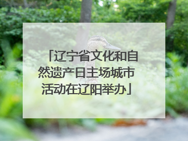 辽宁省文化和自然遗产日主场城市活动在辽阳举办