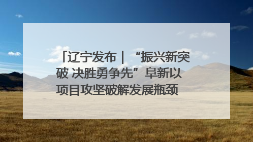 辽宁发布｜“振兴新突破 决胜勇争先”阜新以项目攻坚破解发展瓶颈 经济发展实现良好开局