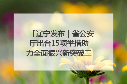 辽宁发布｜省公安厅出台15项举措助力全面振兴新突破三年行动决胜之战