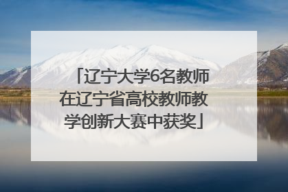 辽宁大学6名教师在辽宁省高校教师教学创新大赛中获奖