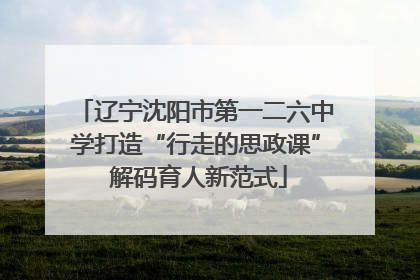 辽宁沈阳市第一二六中学打造“行走的思政课” 解码育人新范式