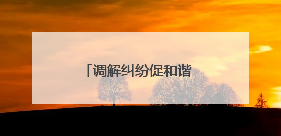 调解纠纷促和谐 一心为民保平安