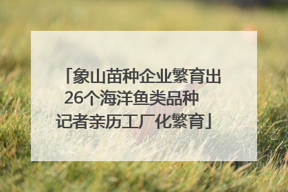 象山苗种企业繁育出26个海洋鱼类品种 记者亲历工厂化繁育