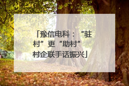 豫信电科：“驻村”更“助村” 村企联手话振兴