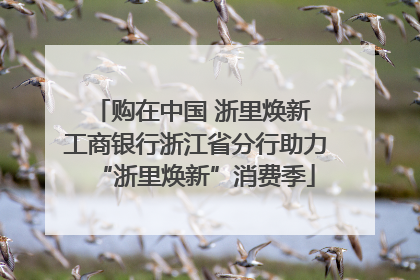 购在中国 浙里焕新 工商银行浙江省分行助力“浙里焕新”消费季