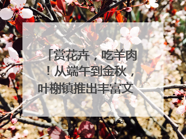 赏花卉，吃羊肉！从端午到金秋，叶榭镇推出丰富文旅活动邀您爽玩