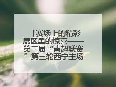赛场上的精彩 展区里的惊喜——第二届“青超联赛”第三轮西宁主场比赛见闻