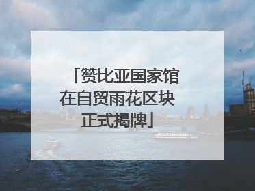 赞比亚国家馆在自贸雨花区块正式揭牌