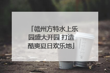 赣州方特水上乐园盛大开园 打造酷爽夏日欢乐地