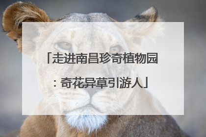 走进南昌珍奇植物园：奇花异草引游人