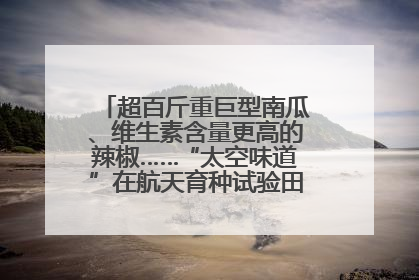 超百斤重巨型南瓜、维生素含量更高的辣椒……“太空味道”在航天育种试验田里拔节生长