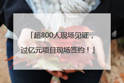超800人现场见证，过亿元项目现场签约！