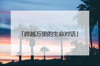跨越万里的生命对话
