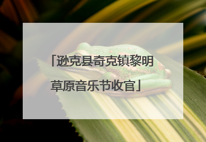 逊克县奇克镇黎明草原音乐节收官