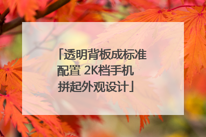 透明背板成标准配置 2K档手机拼起外观设计