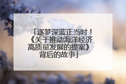 逐梦深蓝正当时！《关于推动海洋经济高质量发展的提案》背后的故事