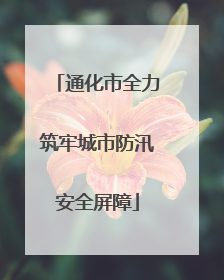通化市全力筑牢城市防汛安全屏障