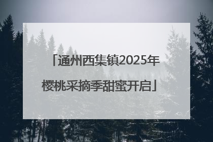通州西集镇2025年樱桃采摘季甜蜜开启