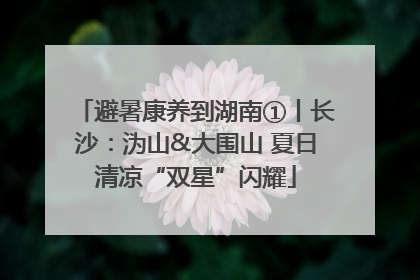 避暑康养到湖南①丨长沙：沩山&大围山 夏日清凉“双星”闪耀