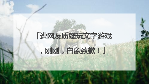 遭网友质疑玩文字游戏，刚刚，白象致歉！