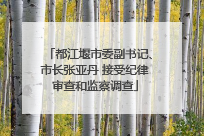 都江堰市委副书记、市长张亚丹 接受纪律审查和监察调查