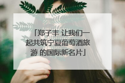 郑子丰 让我们一起共筑宁夏葡萄酒旅游 的国际新名片