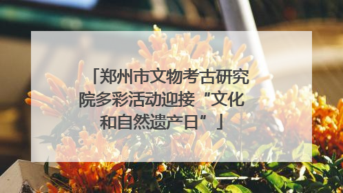 郑州市文物考古研究院多彩活动迎接“文化和自然遗产日”