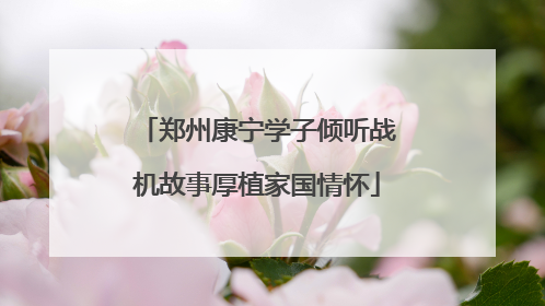 郑州康宁学子倾听战机故事厚植家国情怀