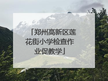 郑州高新区莲花街小学检查作业促教学