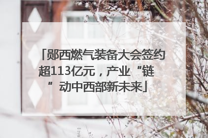 郧西燃气装备大会签约超113亿元，产业“链”动中西部新未来