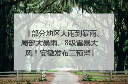 部分地区大雨到暴雨、局部大暴雨、8级雷暴大风！安徽发布三预警