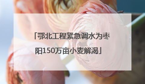 鄂北工程紧急调水为枣阳150万亩小麦解渴