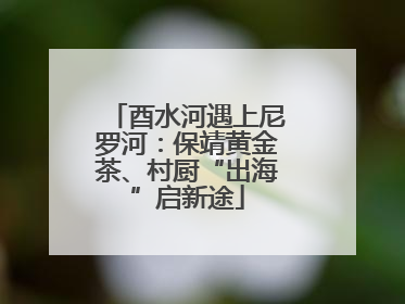 酉水河遇上尼罗河：保靖黄金茶、村厨“出海”启新途