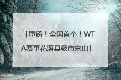重磅！全国首个！WTA赛事花落县级市京山